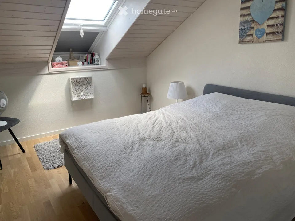 Schönes möbliertes Apartment 2,5 Zimmer im letzten Stock