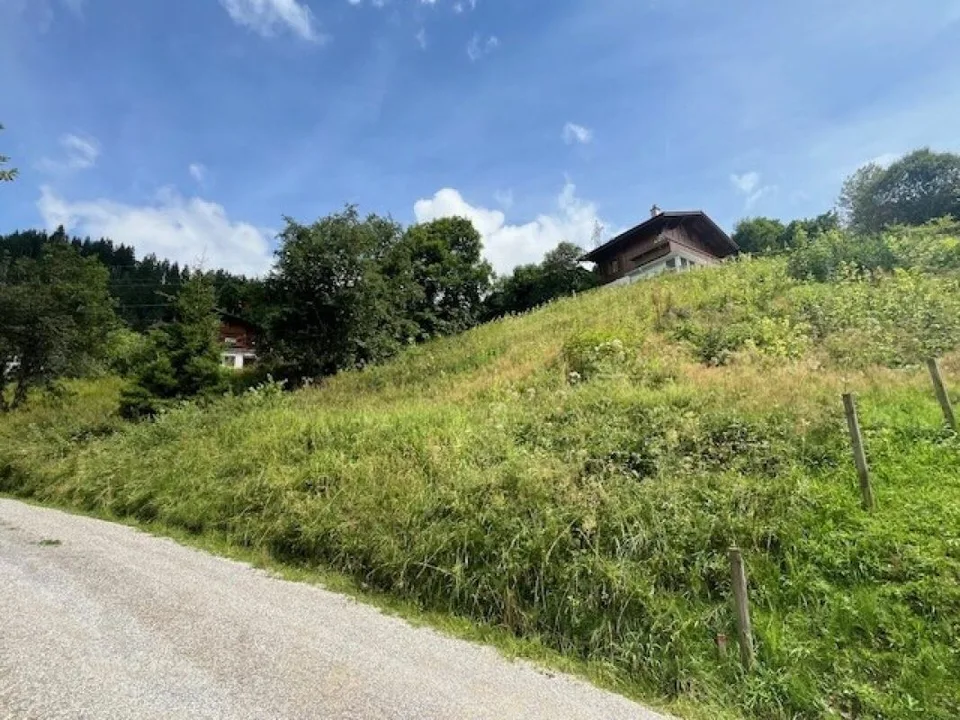 Grand terrain constructible de 906 m² situé en hauteur à Plaffeien FR
