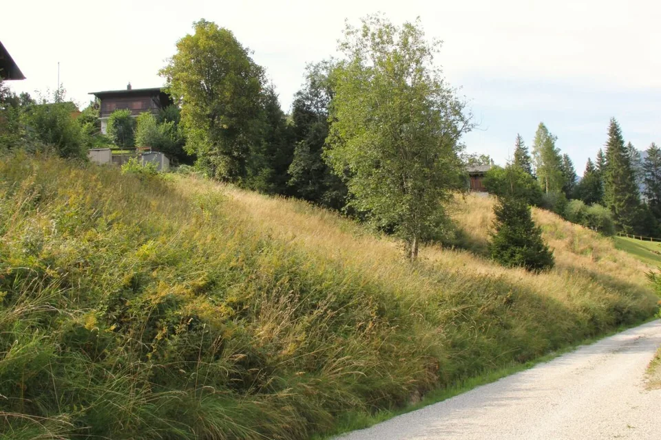 Ampia area edificabile di 906 m2 in posizione elevata a Plaffeien FR – foto 8 di 10