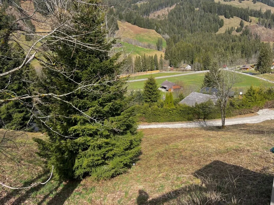 Ampia area edificabile di 906 m2 in posizione elevata a Plaffeien FR – foto 7 di 10