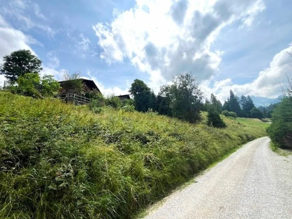 Grand terrain constructible de 906 m² situé en hauteur à Plaffeien FR