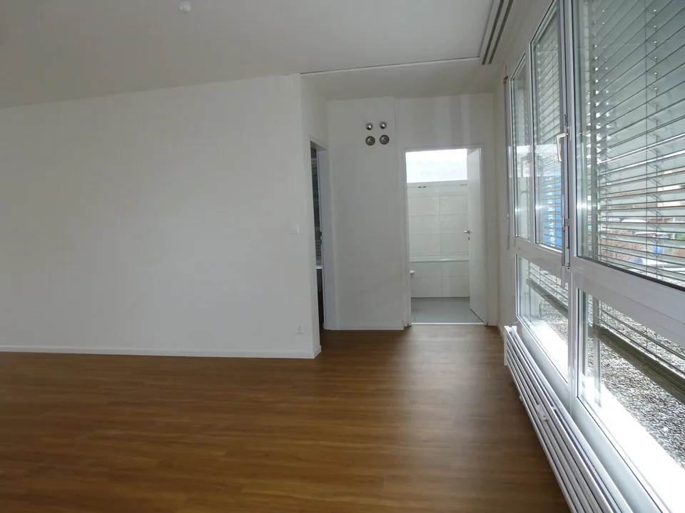 Ampio appartamento luminoso di 3,5 locali con balcone