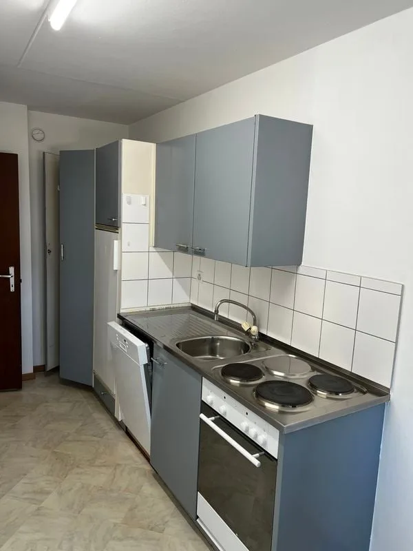 Appartements 3,5 pièces de 62 m2, rez supérieur avec grande terrasse