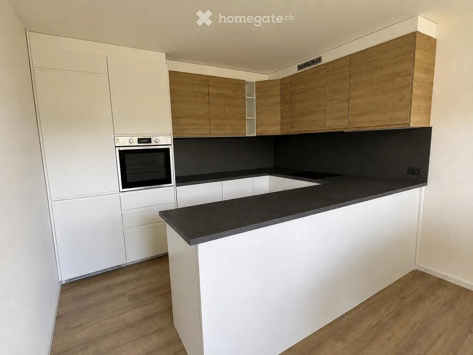 Grosse helle renovierte Wohnung mit Aussicht