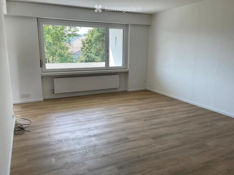Grosse helle renovierte Wohnung mit Aussicht