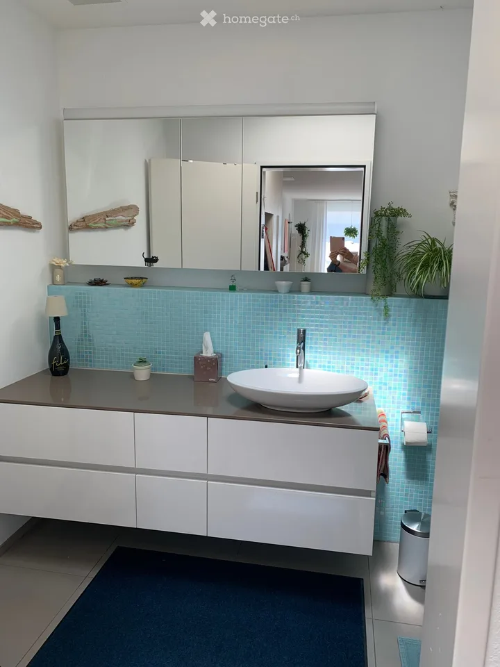 Charmant appartement de 2,5 pièces dans les combles à Hettlingen – Moderne, Calme & Ami des animaux