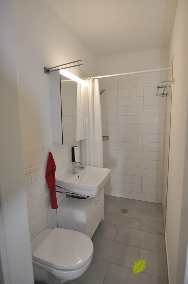 Gemütliche 1.5-Zimmer-Wohnung an ruhiger Lage in Windisch