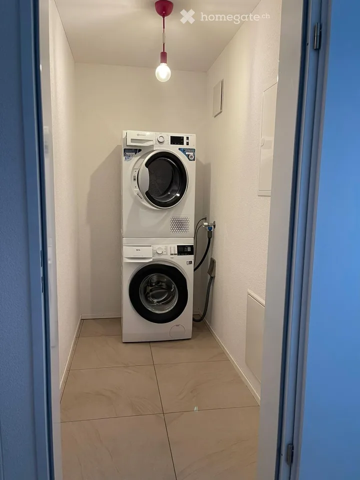 3.5 Zimmer-Dachgeschosswohnung mit Galerie (10 Min. Sursee)
