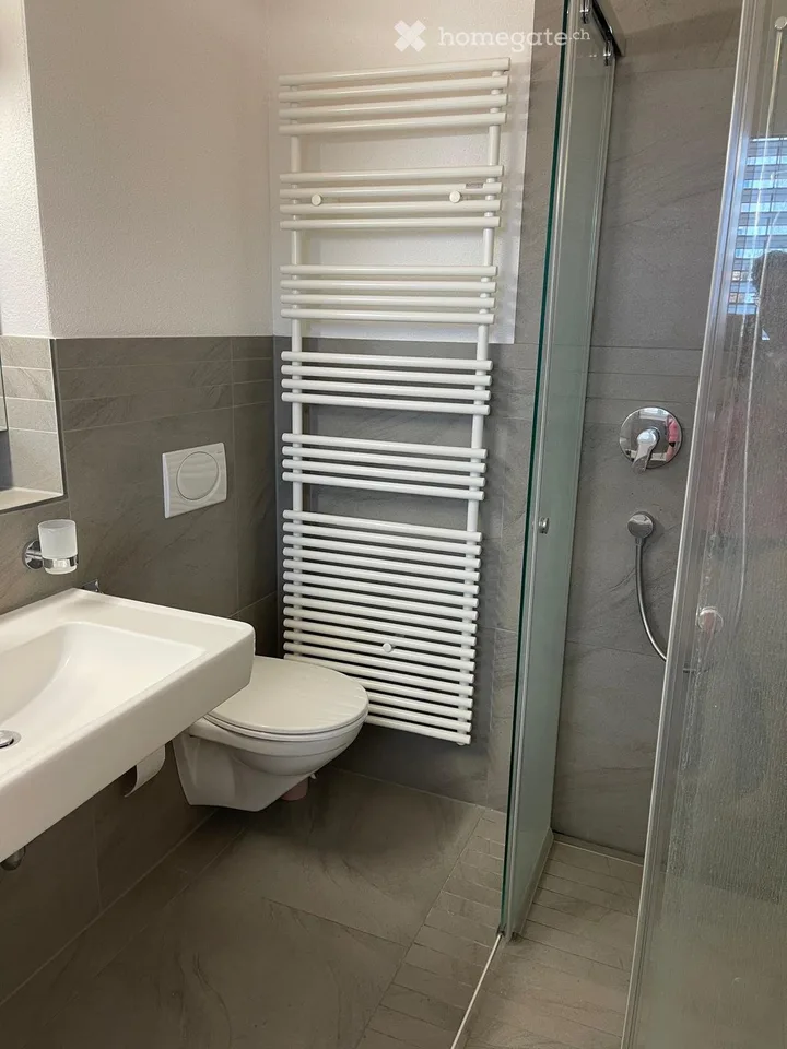 3.5 Zimmer-Dachgeschosswohnung mit Galerie (10 Min. Sursee)