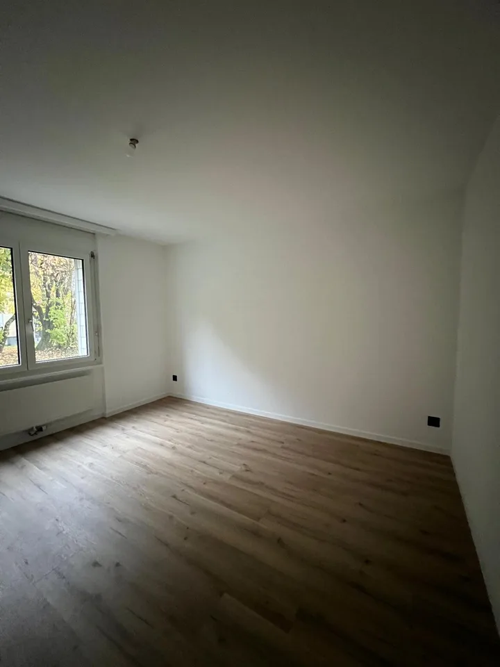 Charmantes renoviertes 2.5-Zimmer-Apartment