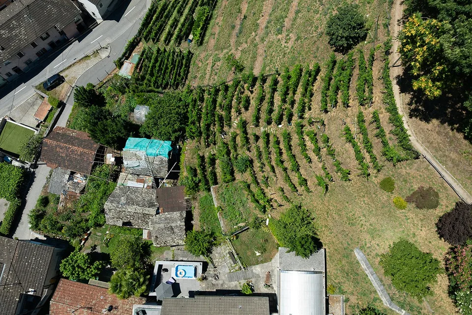 Terreno con progetto autorizzato pronto per essere realizzato