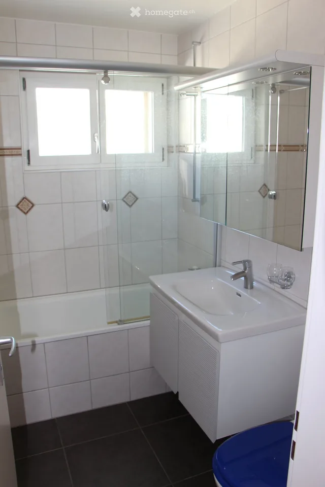 Charmante 4.5-Zimmer-Dachwohnung in Oensingen !