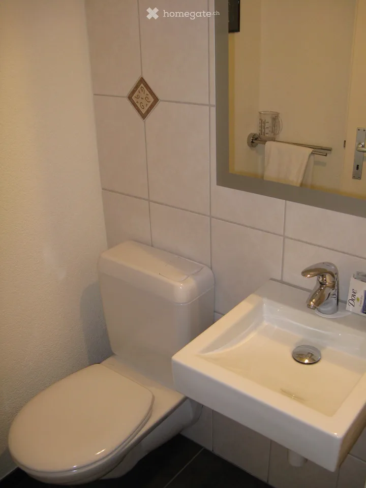 Charmante 4.5-Zimmer-Dachwohnung in Oensingen !