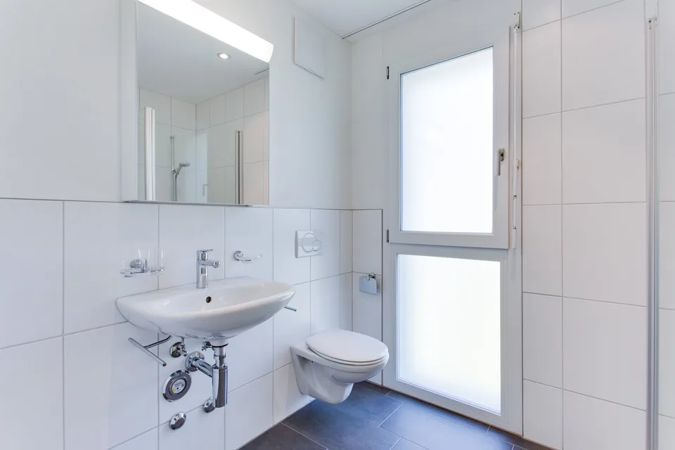 Grosszügige 3.5 Zimmer-Wohnung im Grünen