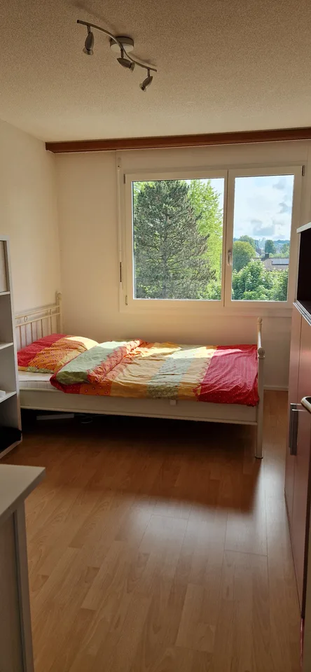 Appartement spacieux et lumineux de 4,5 pièces à louer ! – photo 8 sur 16