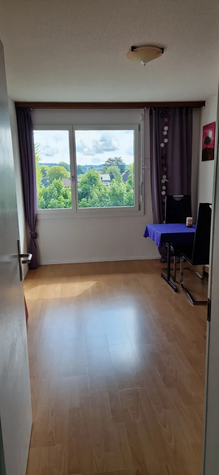 Appartement spacieux et lumineux de 4,5 pièces à louer ! – photo 7 sur 16