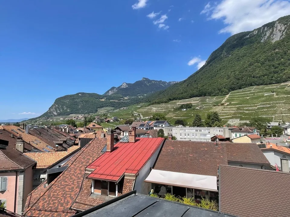 DUPLEX AVEC CACHET UNIQUE AU CENTRE D'AIGLE