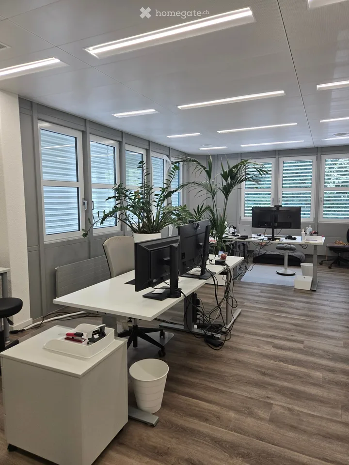 167m2 di spazio per ufficio/studio/terapia ad Aarau, versatile - Moderno & direttamente sul margine del bosco
