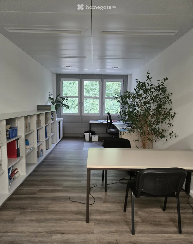 167m2 di spazio per ufficio/studio/terapia ad Aarau, versatile - Moderno & direttamente sul margine del bosco