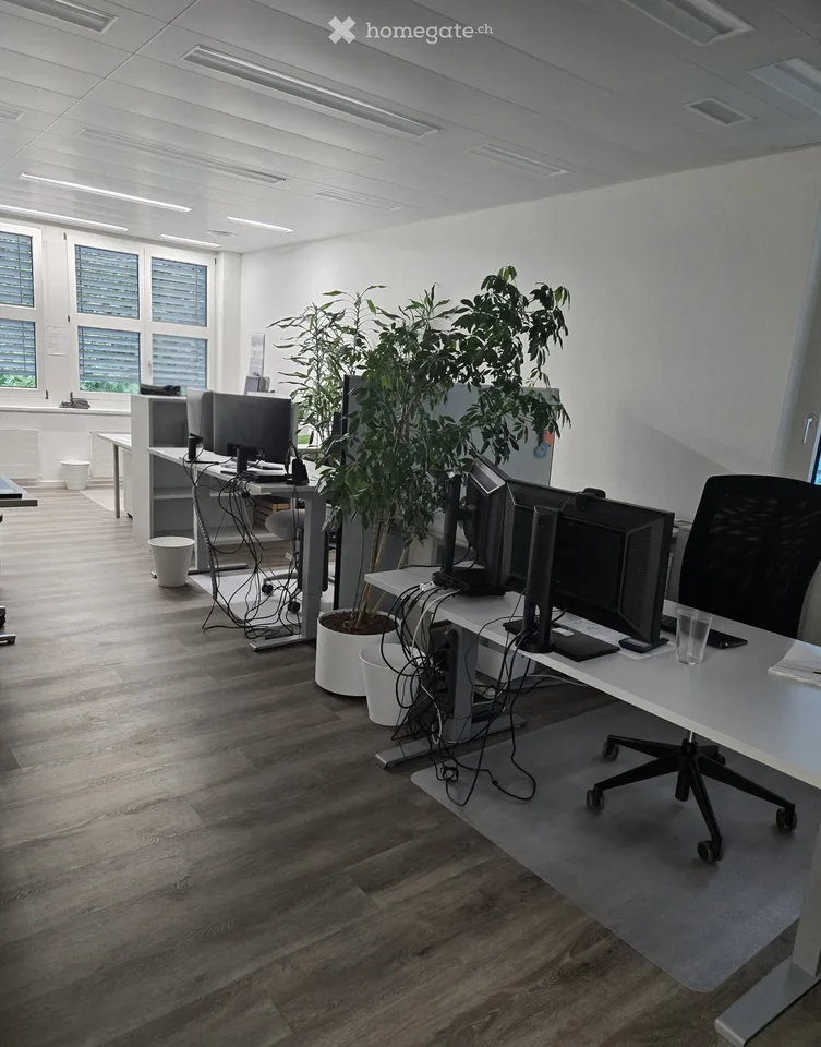 167m2 di spazio per ufficio/studio/terapia ad Aarau, versatile - Moderno & direttamente sul margine del bosco