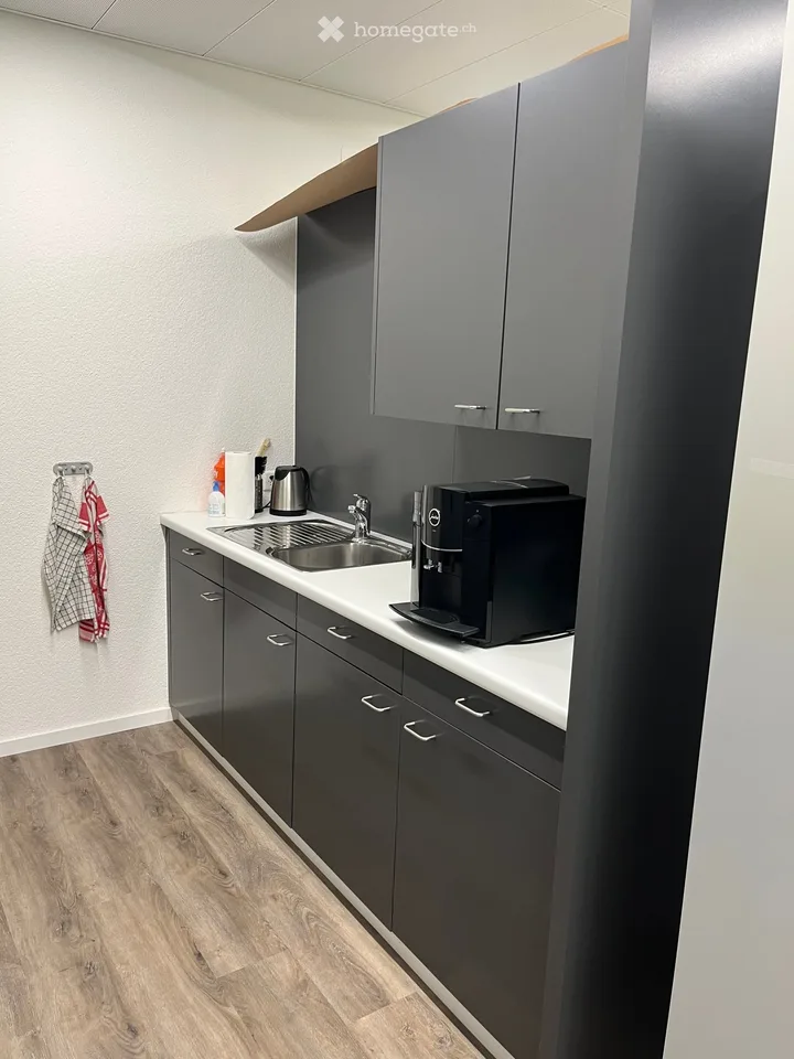 167m2 di spazio per ufficio/studio/terapia ad Aarau, versatile - Moderno & direttamente sul margine del bosco