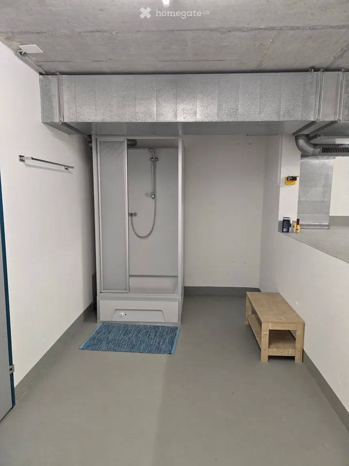 167m2 di spazio per ufficio/studio/terapia ad Aarau, versatile - Moderno & direttamente sul margine del bosco
