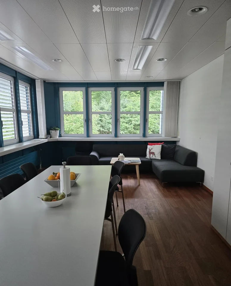 167m2 di spazio per ufficio/studio/terapia ad Aarau, versatile - Moderno & direttamente sul margine del bosco