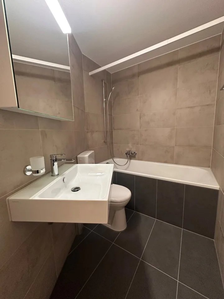 3.5 Zimmerwohnung im EG