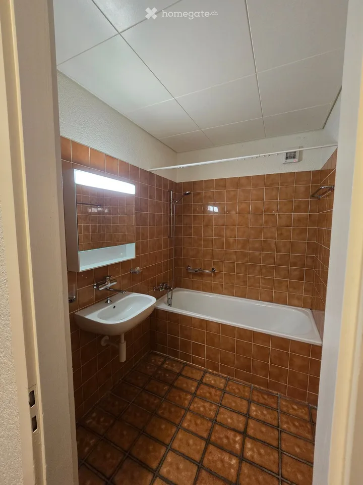 Großes Apartment mit 3.5 Zimmern und Charme