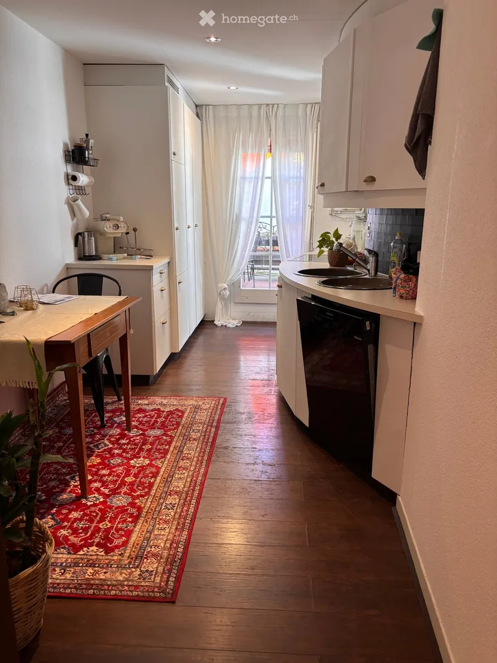 Appartement d'attique unique avec terrasse dans la vieille ville de Berne – 2,5 pièces