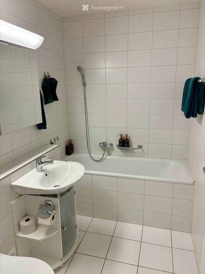 Lichtdurchflutete 3.5-Zimmer-Wohnung mit grossem Balkon
