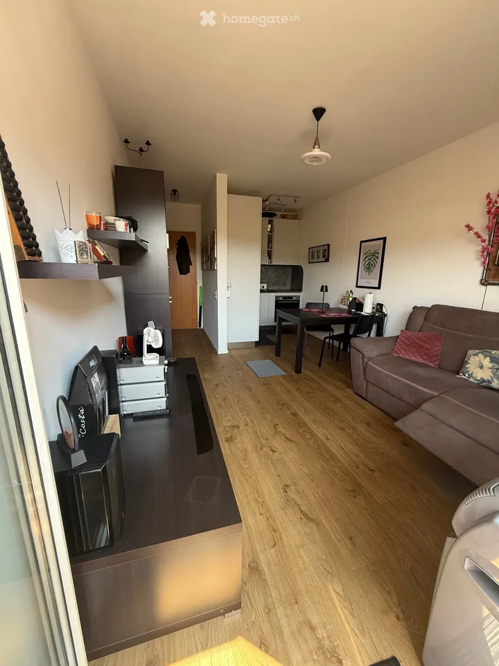 Je cherche un sous-locataire pour 2 pièces appartement rénové