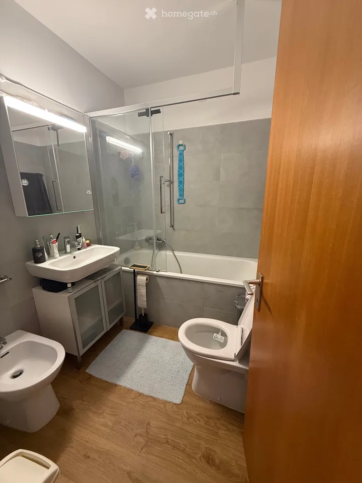 Je cherche un sous-locataire pour 2 pièces appartement rénové