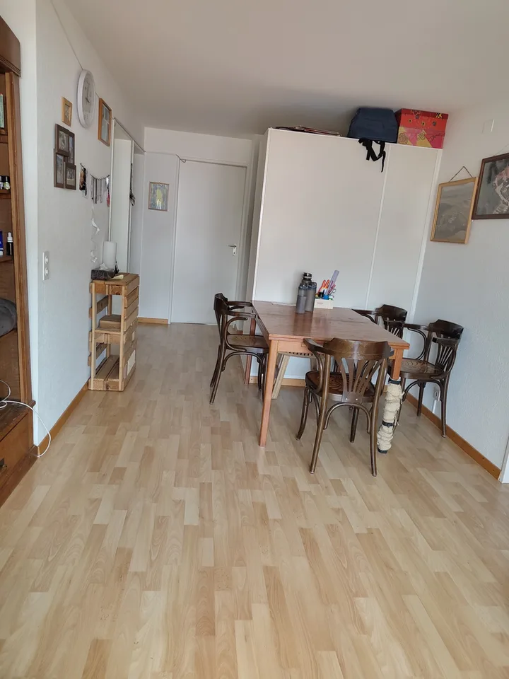Appartamento 4.5 locali con piano pratica