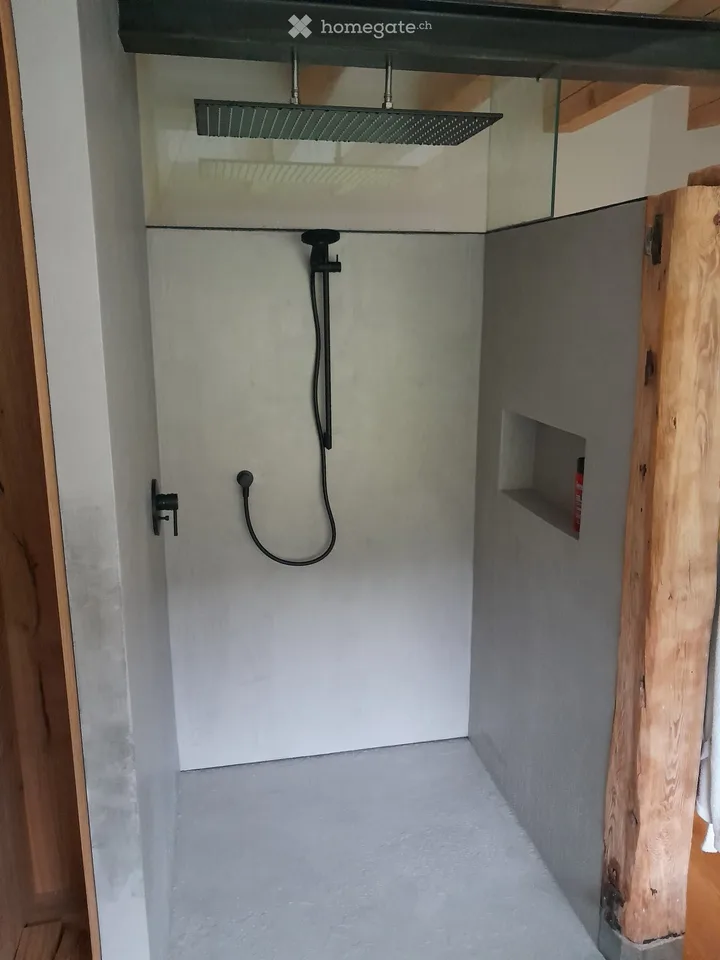 Charmante 3.5-Zimmer-Altbauwohnung mit Pool, Sauna und traumhafter Aussicht in Arisdorf