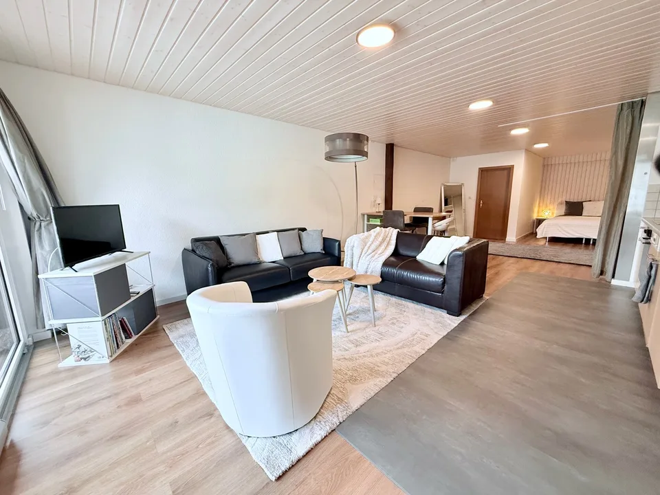Loft meublé 1,5 pièce — tout compris — Courfaivre