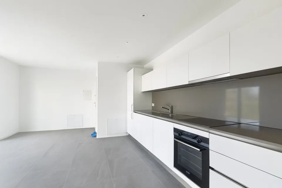 Caslano 2.5 loc. Moderno con Grande Terrazza | Pigione CHF 1'430