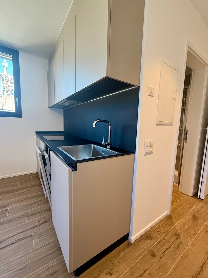 Breganzona 1.5 Zimmer. Eingerichtet Miete 950 Nebenkosten 100 |