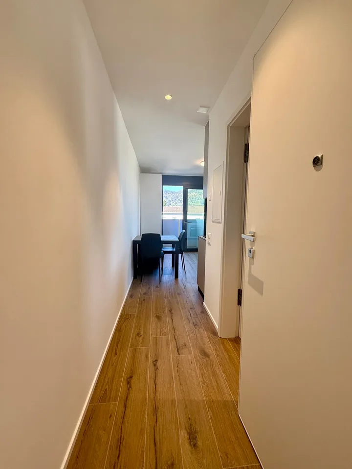 Breganzona 1.5 Zimmer. Eingerichtet Miete 950 Nebenkosten 100 |
