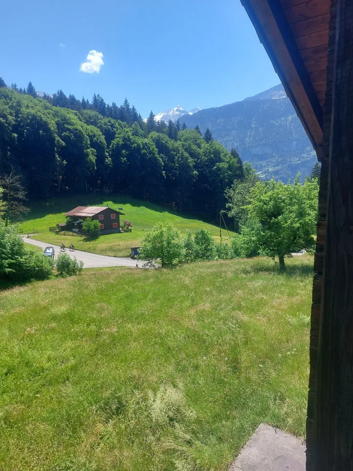 2½ ZI-WOHNUNG IN HASLIBERG HOHFLUH (BE), MÖBLIERT, TEMPORÄR