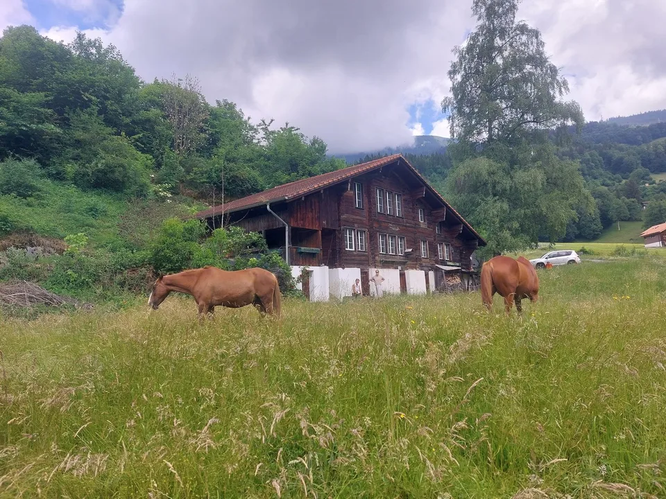 2½ ZI-WOHNUNG IN HASLIBERG HOHFLUH (BE), MÖBLIERT, TEMPORÄR