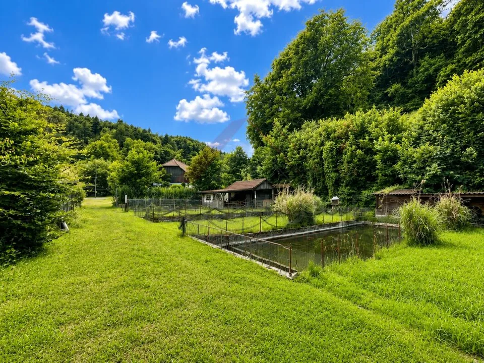 Naturparadies mit 7 Fischteichen - Einzigartige Freizeit- und Fischzuchtanlage in Gränichen