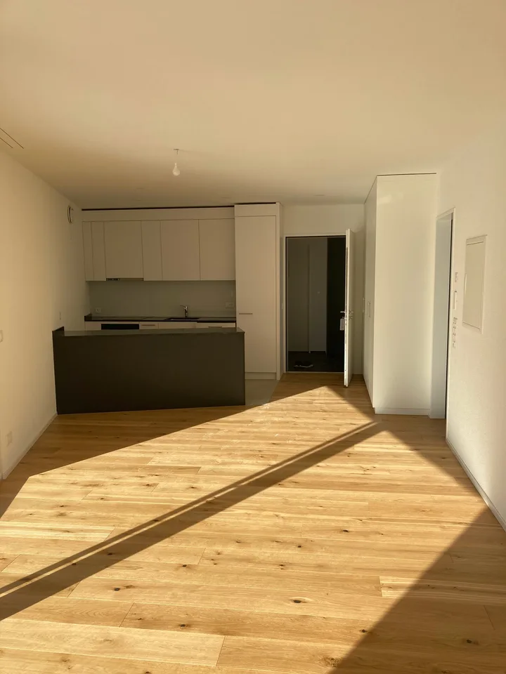 Moderne 2.5-Zimmer-Attika -Wohnung mit Bergblick in Waldenburg