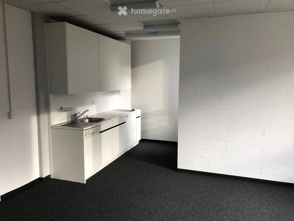 aussi flexible que votre entreprise – locaux commerciaux à partir de 150 m² à Hinwil