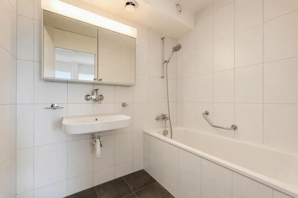 Renovated 4.5-room apartment with attractive floor plan