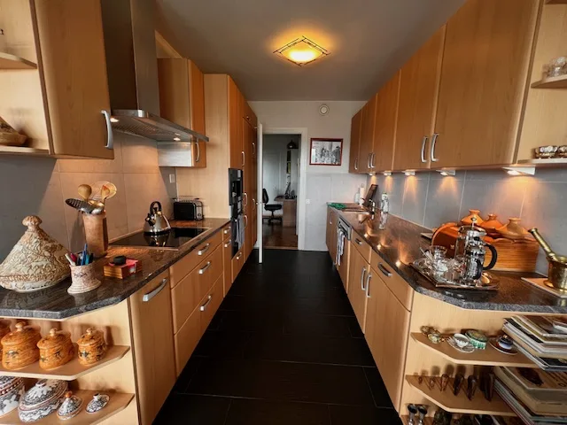 Très bel appartement avec vue lac en viager à Genève