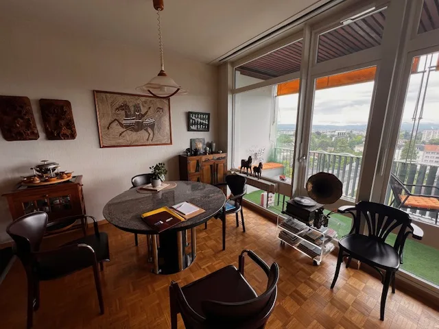 Très bel appartement avec vue lac en viager à Genève