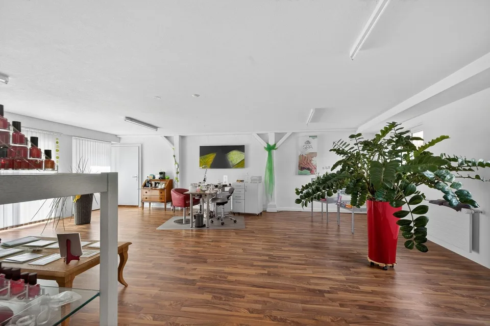Più di un semplice alloggio: studio, laboratorio e appartamento annesso - perfettamente combinati – foto 8 di 13