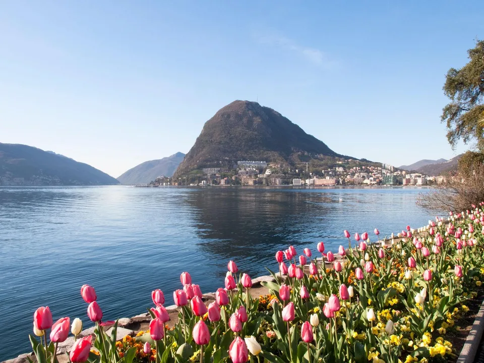 Private Opportunities | Exclusive Villas and Penthouses in Lugano Area