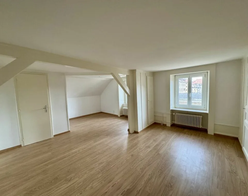 Un mois de loyer net offert ! Appartement de 3.5 pièces cocooning sous les combles